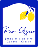 Pur azur logo site web 2